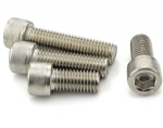 Stainless Steel Bolts