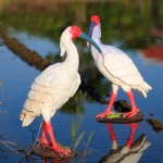 Home Decor Crested Ibis Sculptures